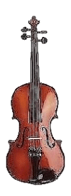 Violon